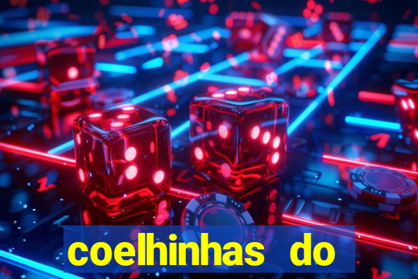 coelhinhas do brasil recife